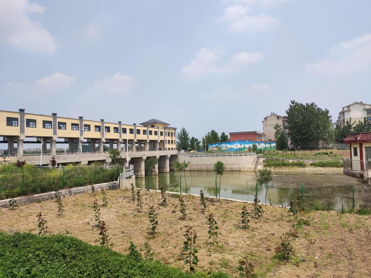 兰陵县河头拦河闸除险加固工程环保验收意见公开