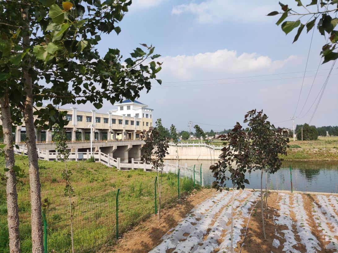 兰陵县李庄拦河闸除险加固工程项目环保验收意见公开